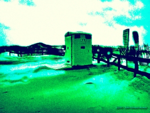 The Zombie Beach Outhouse