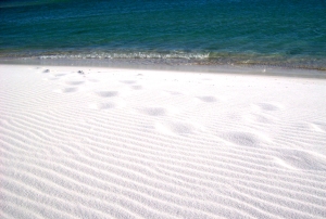 White Sands Pensacola Beach Gulf Coast Photos